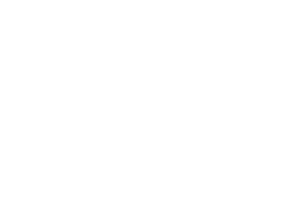 AMFMAPTSS